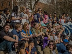 group of students sitting in the quad