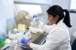 student working in research lab