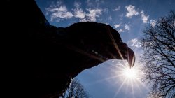 Image of the hawk statue from below on a sunny day