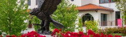 Bronze statue of red hawk at campus entrance