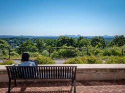 Photo of a student looking at the skyline