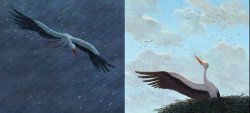 Illustrated page from Feathers Together by Caron Levis, Illustrated by Charles Santoso