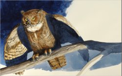 Illustrated page from Owl Moon by Jane Yolen