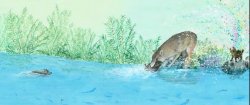 Illustrated page from The Wolves of Yellowstone: A Rewilding Story by Catherine Barr, illustrated by Jenni Desmond