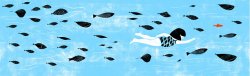 Illustrated page from Aquarium by Cynthia Alonso © 2018 by Chronicle Books