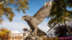 red hawk statue