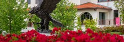 Red Hawk Statue