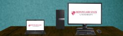 PC and laptop displaying MSU logo