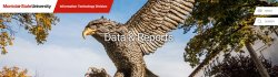 data and reports superimposed on hawk statue