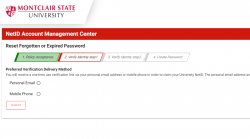 NetID reset password verification link selection