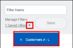 view filter name