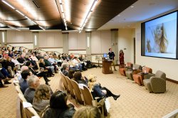 Photof of a lecture hall full of people walking a projection screen.