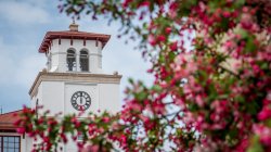 University Hall seen through spring flowers