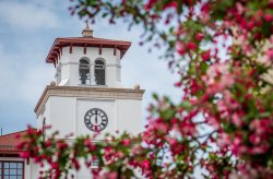 University Hall seen through spring flowers