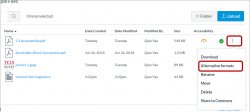 Accessing Ally's alternative formats from a file in the Files section of Canvas
