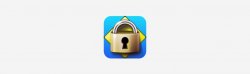 screenshot of Respondus Lockdown Browser icon