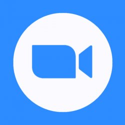 Zoom Logo