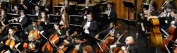 String section of symphony orchestra