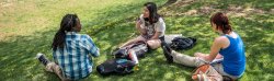 Photo of students in grass