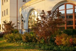 Photo of campus building in Fall.