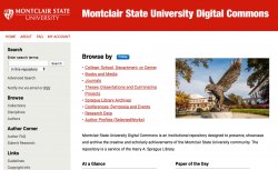 screenshot, MSU Digital Commons homepage