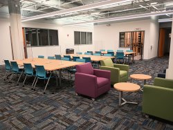 Lower Level Study Area