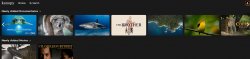 Screenshot of streaming video titles
