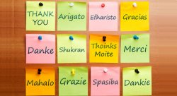 Feature image for Take Flight with Languages at Montclair State