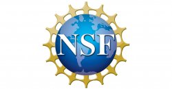 National Science Foundation logo - blue globe with gold points around. NSF in white