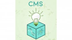 CMS logo
