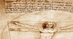 Photo of Vitruvian Man by Leonardo DiVinci