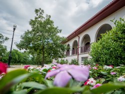 Campus in the spring