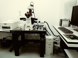 Nikon C2 Plus Confocal Laser Scanning Microscope (CLSM)