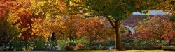 photo of student walking on campus in the fall