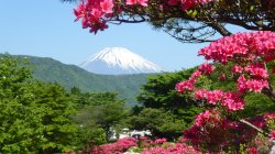 photo of Mt Fuji