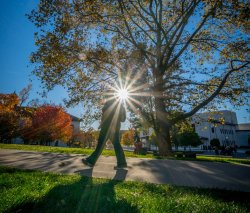 Student walking by a tree with the sun shining