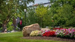 Photo of the hawk statue and flowers