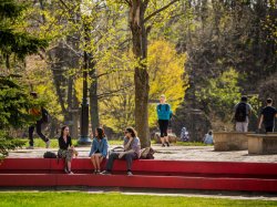 Students sitting on a ledge.