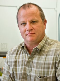 David Rotella