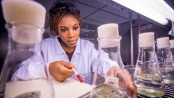 Student performing research in lab near glass lab equipment.