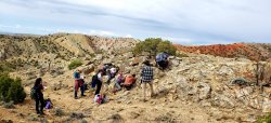 students taking field measurements and notes