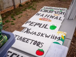Signs for garden written in Native American language.