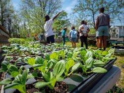 Seedlings in trays ready for the growing season in front of a group of students on a garden tour.