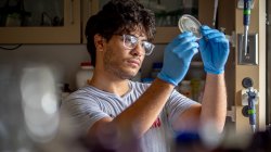 Student wearing blue safety gloves holds a petri dish up to the light.