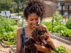 A gardener holds a puppy, a mini chocolate Labradoodle.