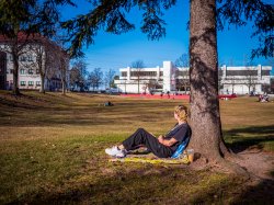 Student on the campus quad, looking away from camera (face not visible)