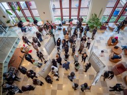 A birds-eye view people reading research posters