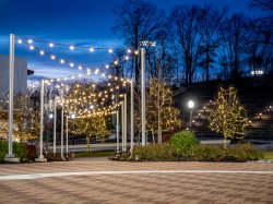 Campus at night with fairy lights overhead.