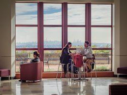 Graduate students studying in CELS.