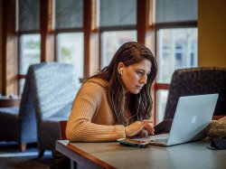 Student studying online